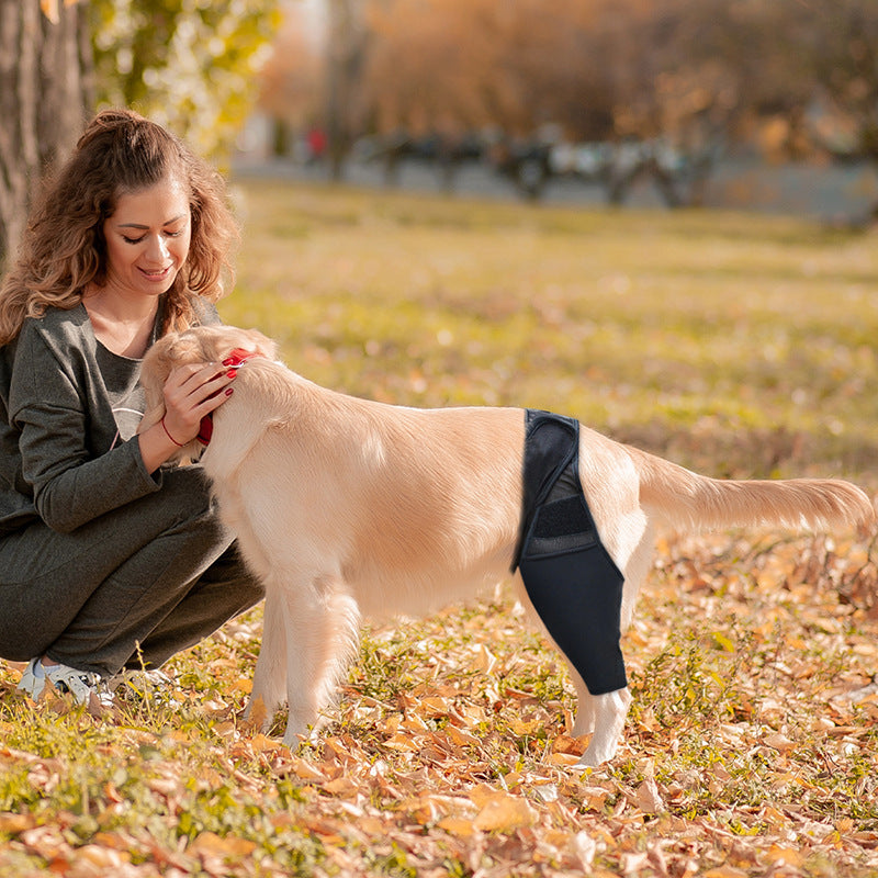 Joint Injury Recovery and Protector