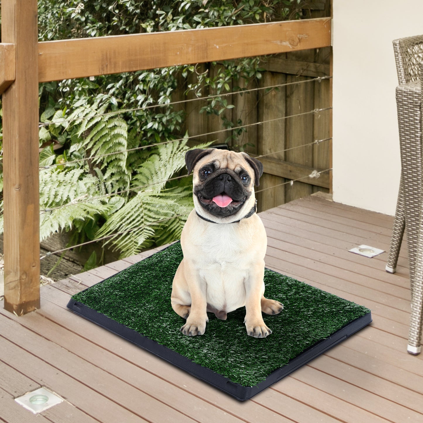 Dog Potty Training Mat