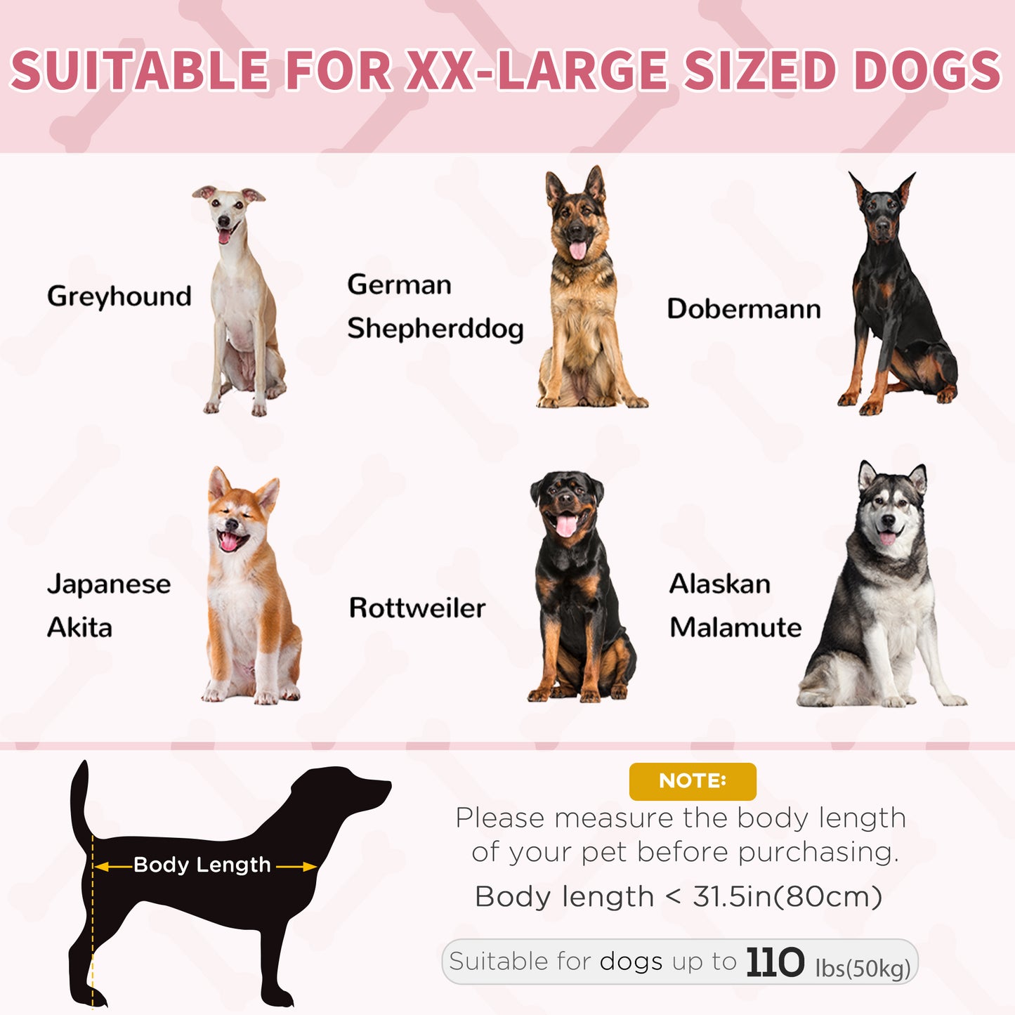 Elevated Dog Bed 48x36