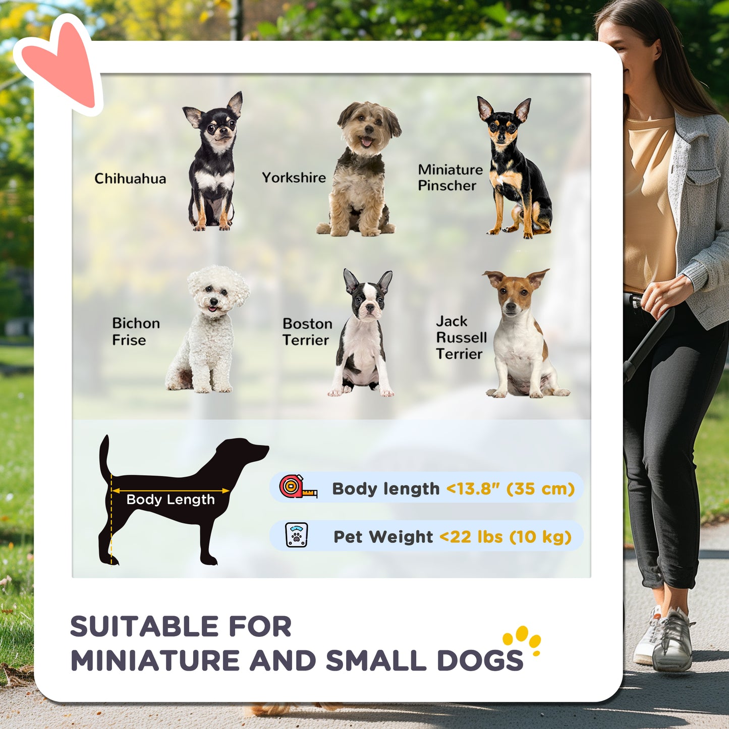 Four Wheel Dog Pet Stroller Carrier Folding Sunshade Canopy with Brake