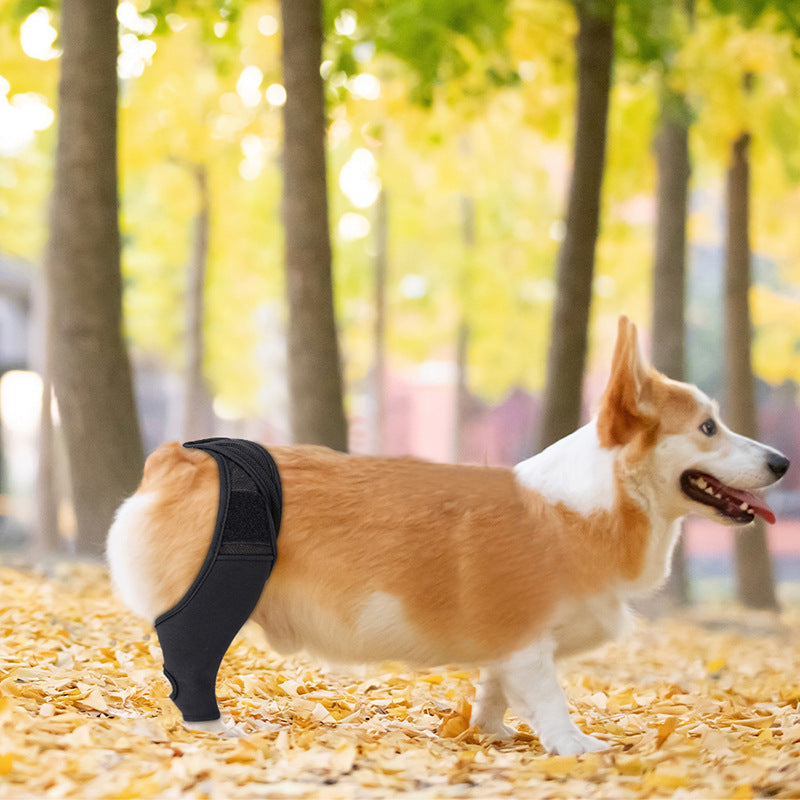 Joint Injury Recovery and Protector