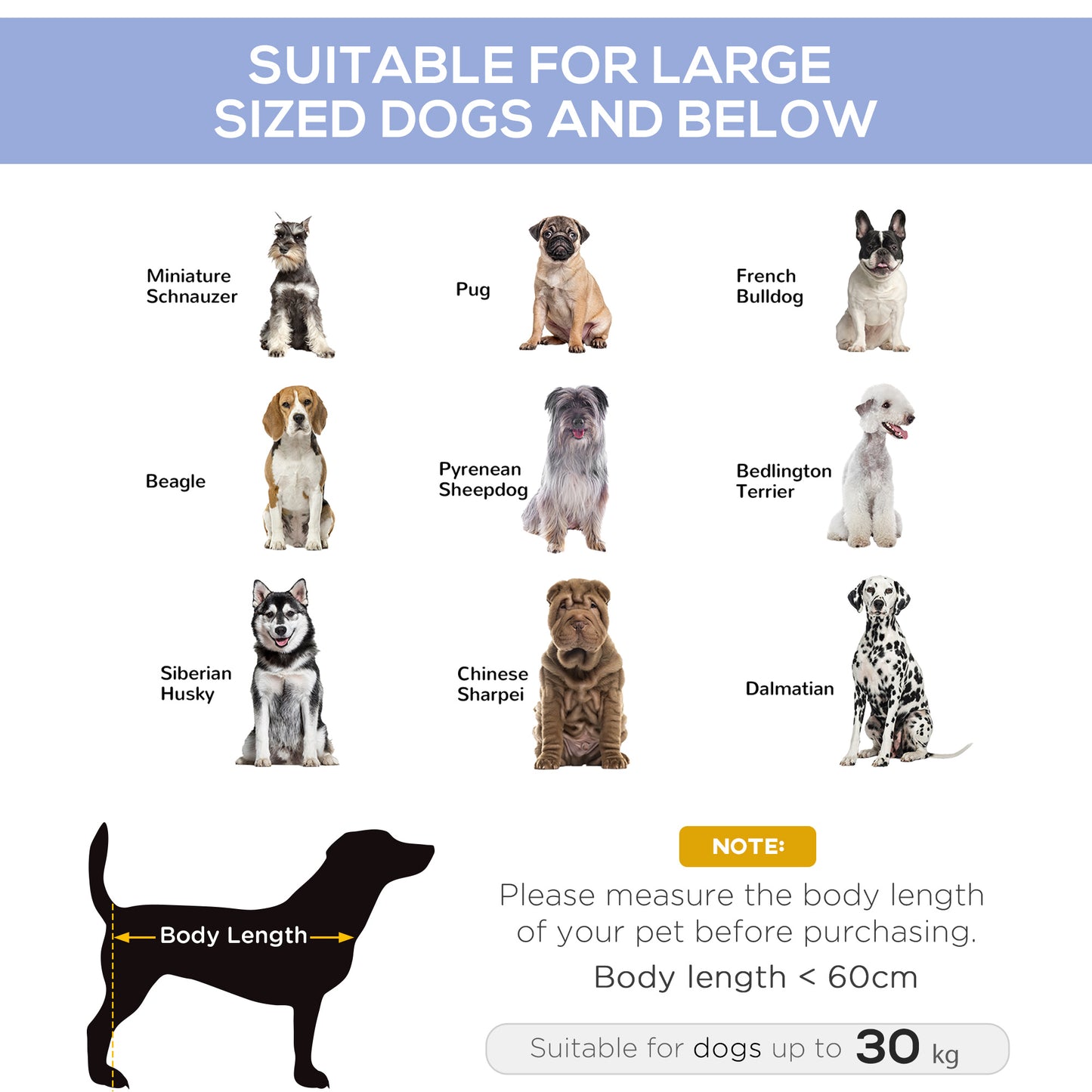 Elevated Dog Bed Cot 36"" x 30"