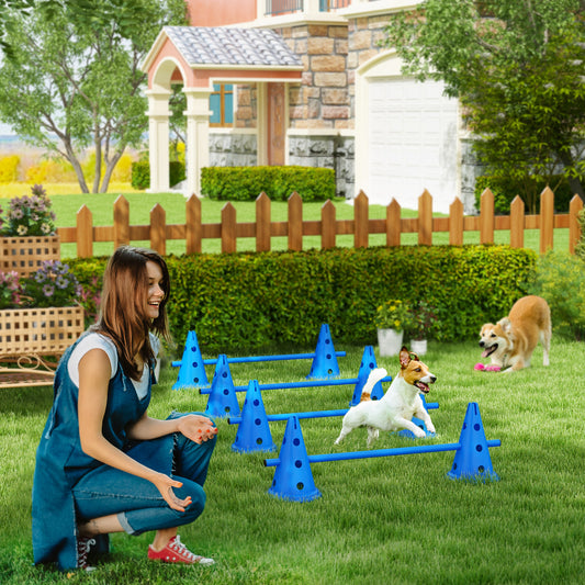 Agility Hurdle Cone Set