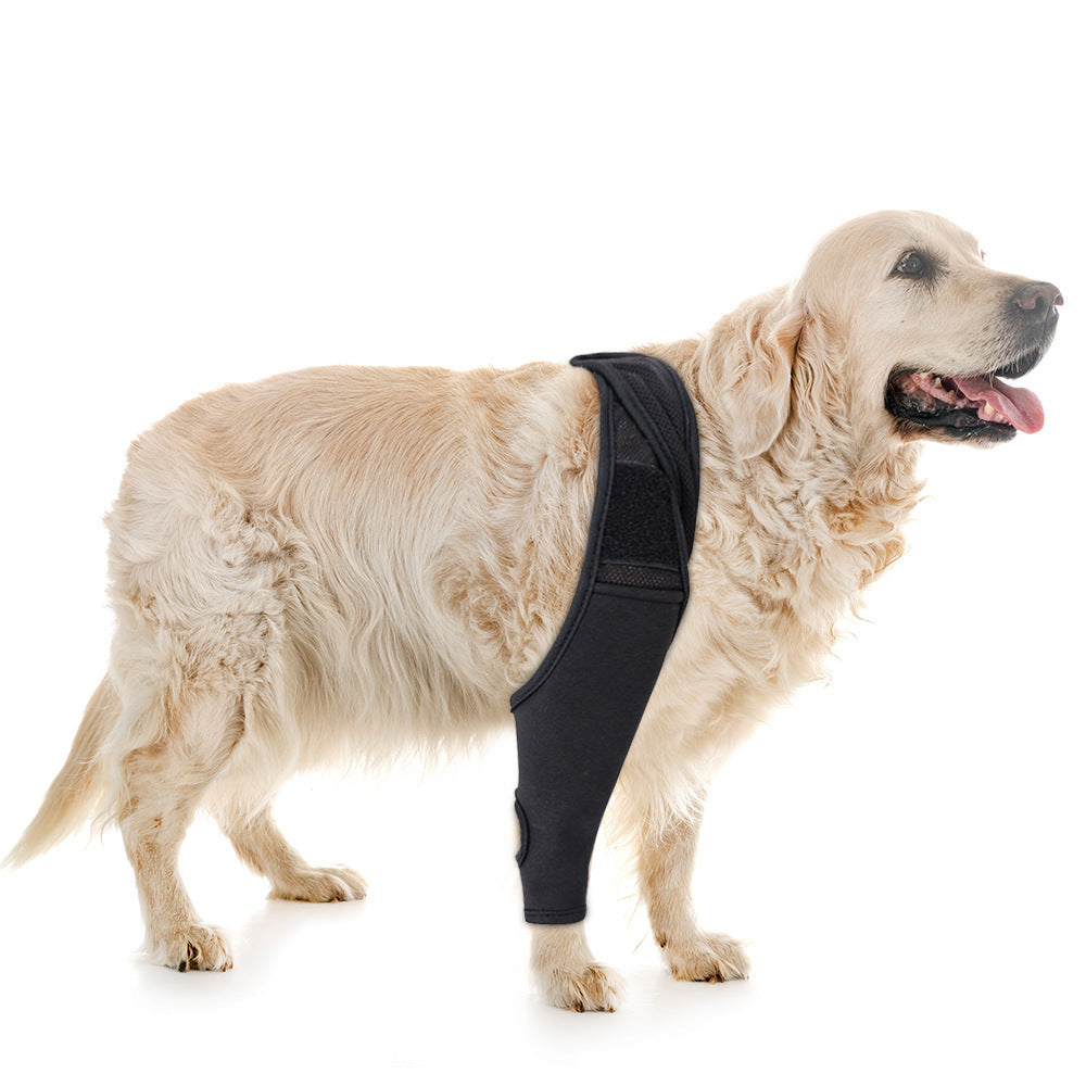 Joint Injury Recovery and Protector