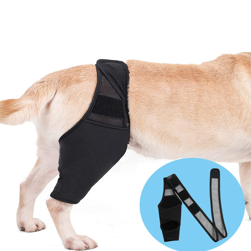 Joint Injury Recovery and Protector