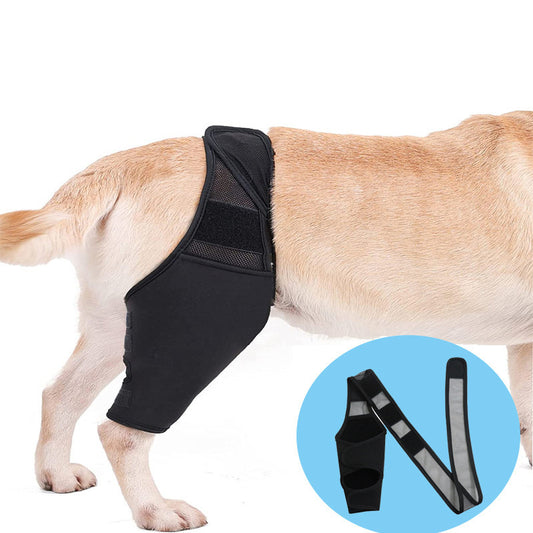 Joint Injury Recovery and Protector