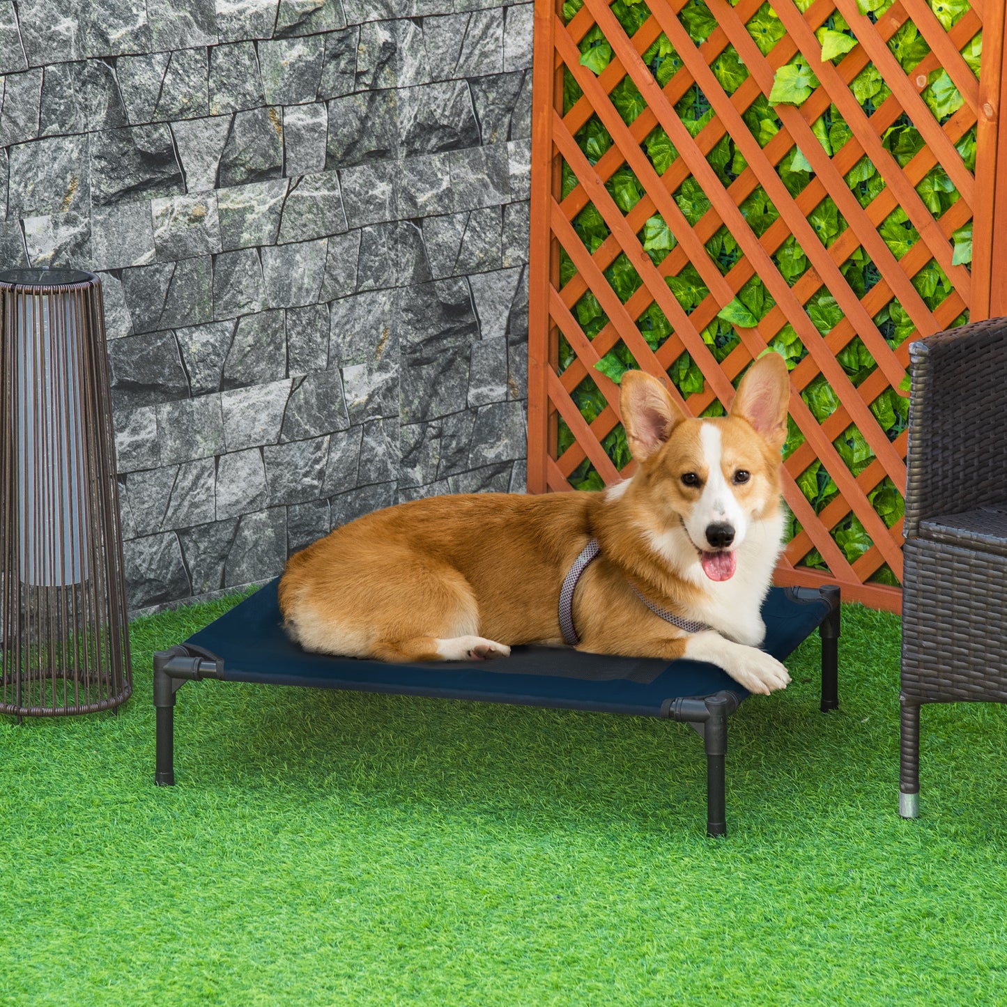 Elevated Dog Bed Cot 36"" x 30"