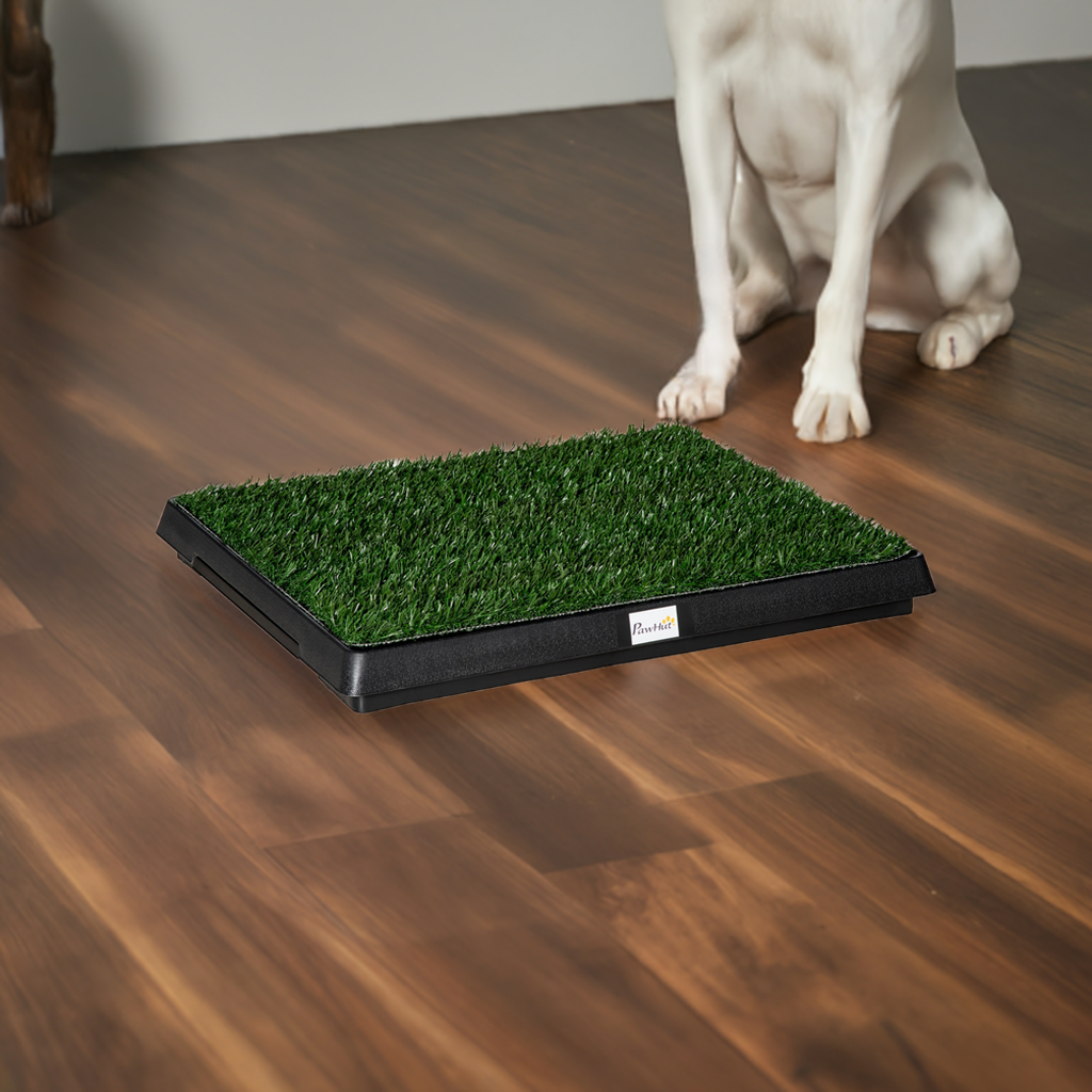 Dog Potty Training Mat