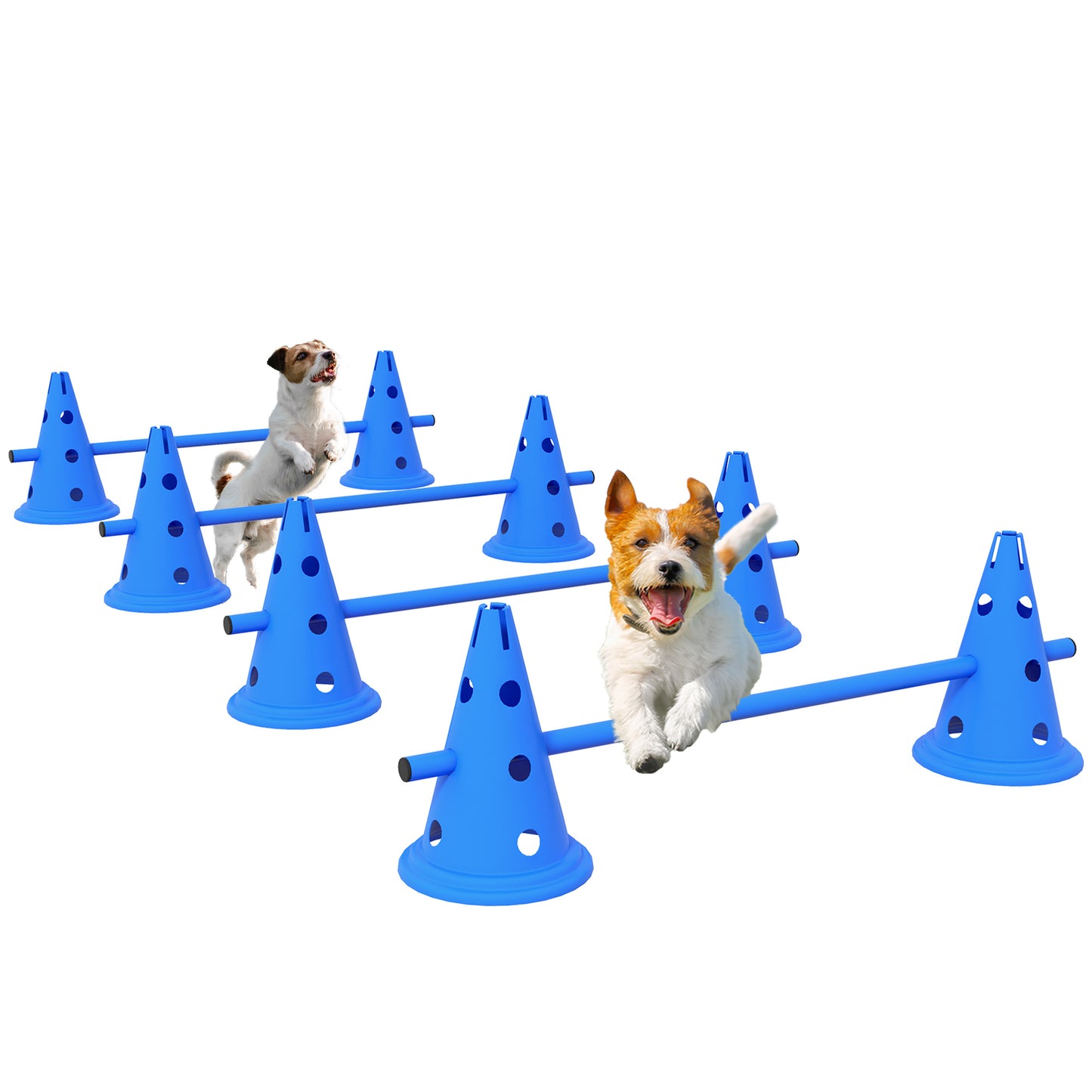 Agility Hurdle Cone Set