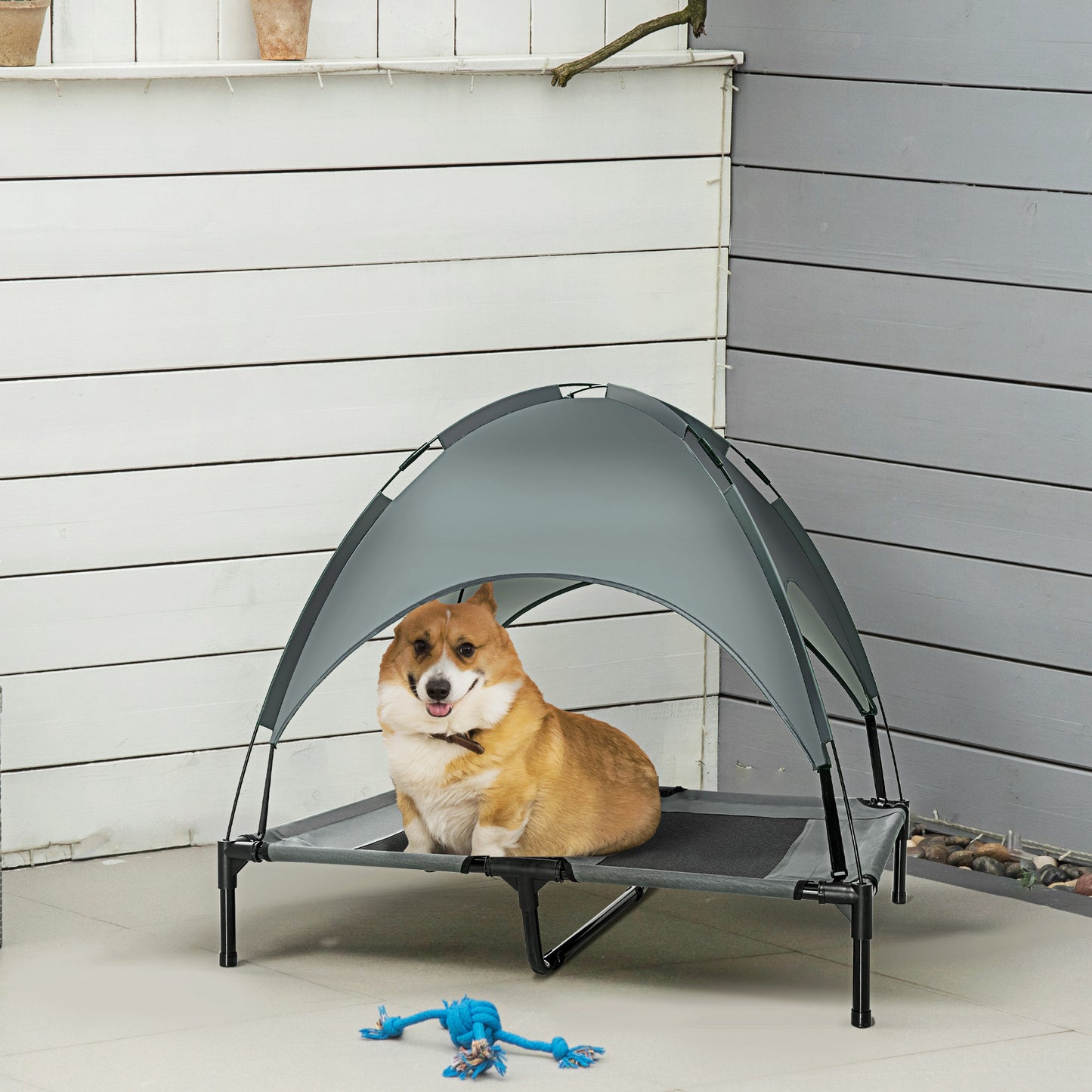 Foldable Elevated Pet Cot with Canopy