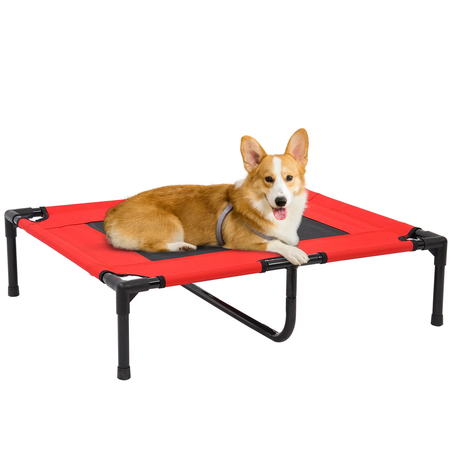 Elevated Folding Dog Bed