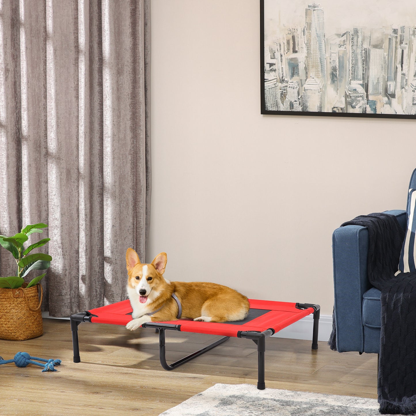 Elevated Folding Dog Bed