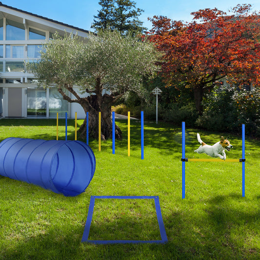 Dog Agility Starter Kit Pet Outdoor Exercise Training Set