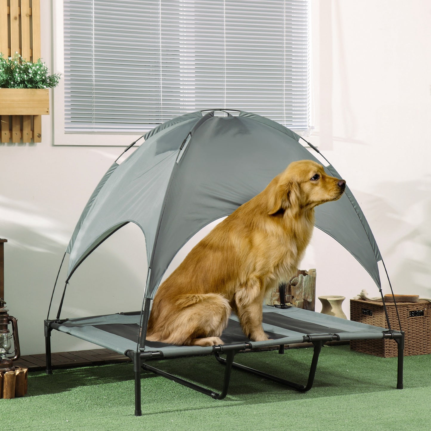 Foldable Elevated Pet Cot with Canopy